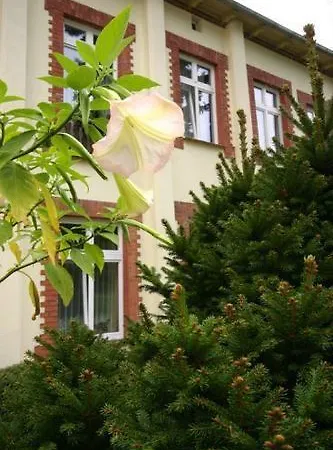 Am Kurbad Gasthof Bad Freienwalde